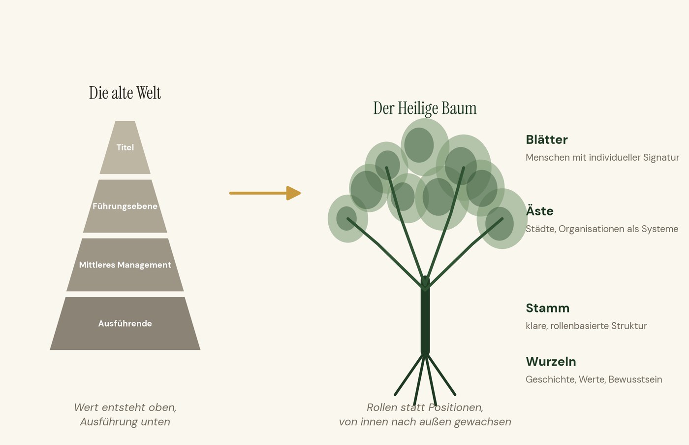 Comparison diagram: the pyramid of the old world next to the tree of the new vision, with roots, trunk, branches, and leaves